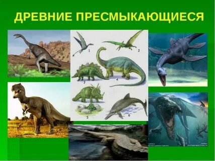 В какой эре господствовали пресмыкающиеся