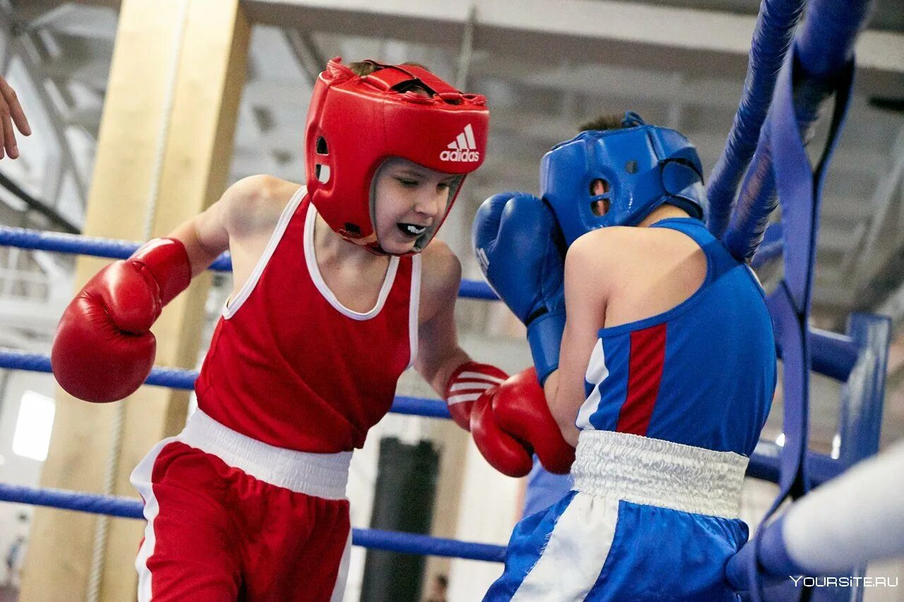 Детский бокс. Бокс дети. Бокс юноши. Детские тренировки по боксу. Sport box 2