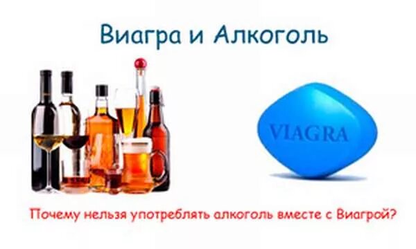 Что будет если выпить виагру мужчине. Виагра и алкоголь. Совместима виагра с алкоголем. Виагра/для/мужчин/алкоголем. Виагра с алкоголем для женщин.