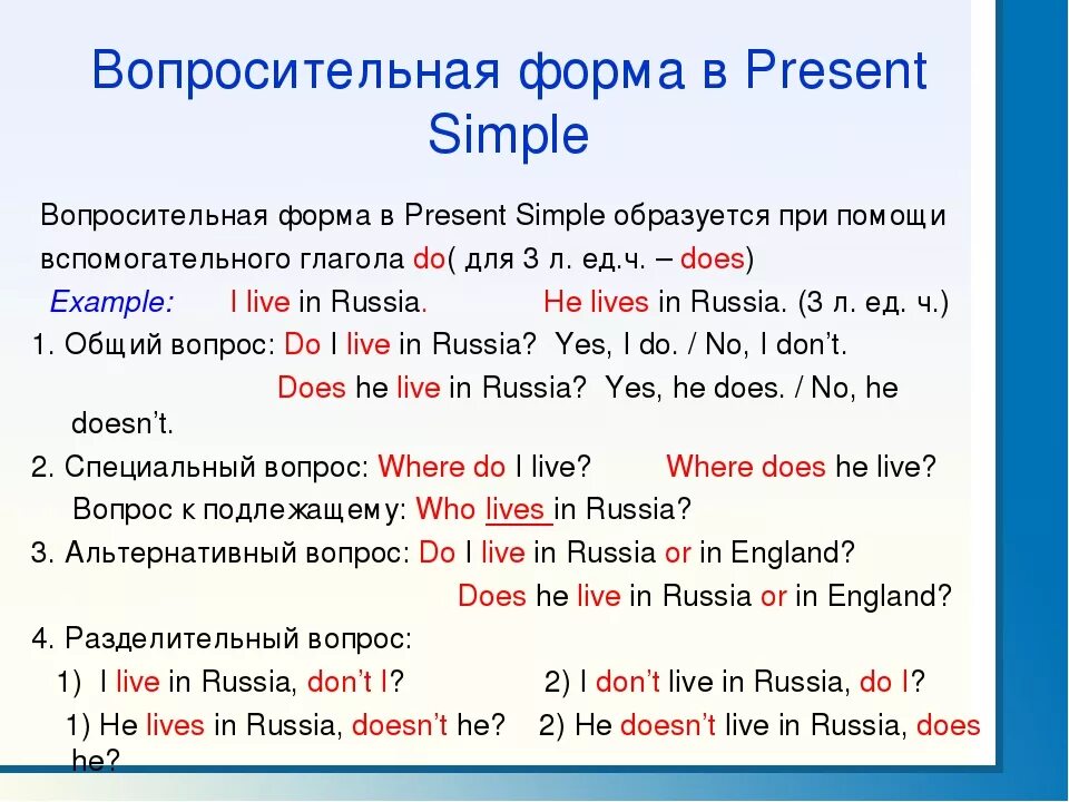 Present simple 5 вопросов