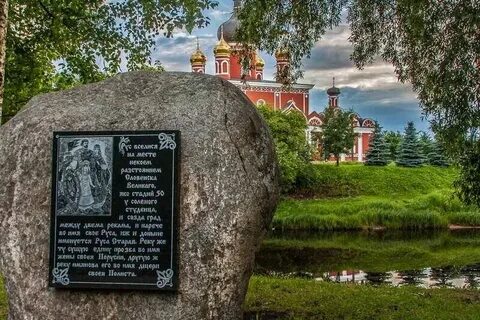 Кедр старая русса