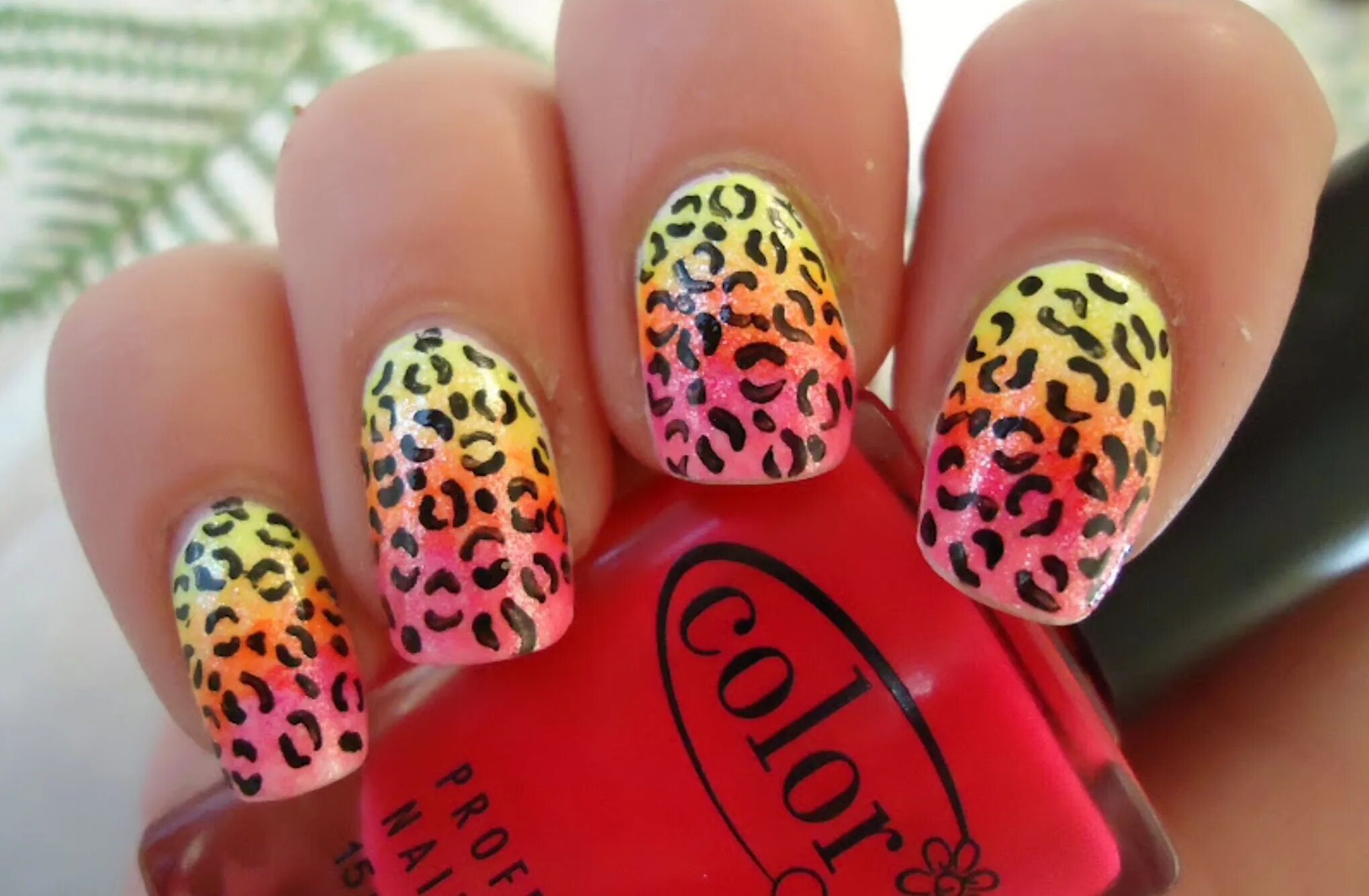 Дизайн ногтей с принтом. Ногти с леопардовым принтом. Яркий леопардовый маникюр. Яркие ногти с леопардовым принтом. Розовые ногти с леопардовым принтом.
