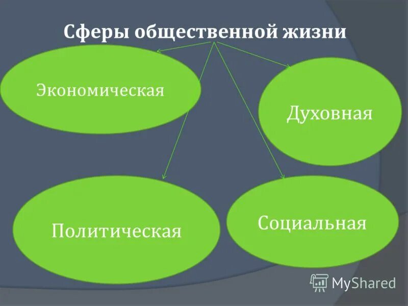 Сферы общественной жизни отличаются. Экологическая сфера общества. Духовная сфера общественной жизни. Виды сфер общественной жизни. Сфера общественной жизни план.