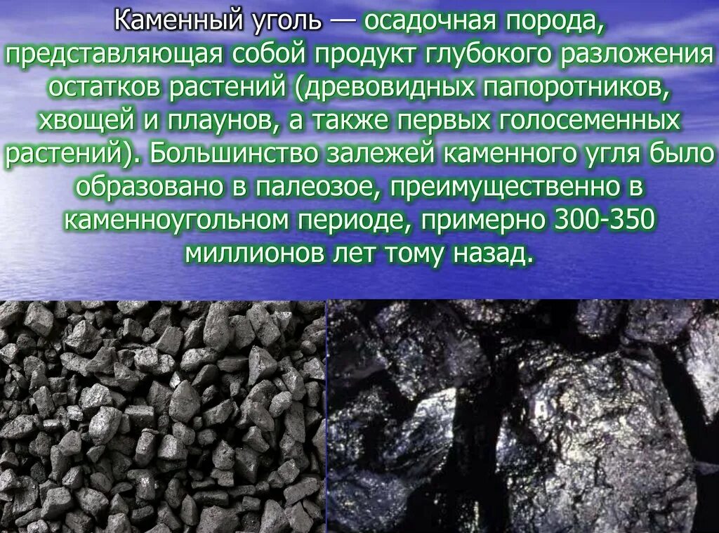 Каменный уголь осадочные горные породы. Каменный уголь. Осадочные породы уголь. Полезные ископаемые каменный уголь. Каменный уголь роль