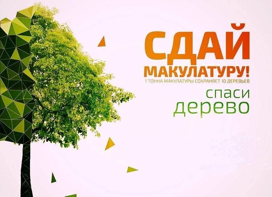 Акция сдай макулатуру спаси дерево