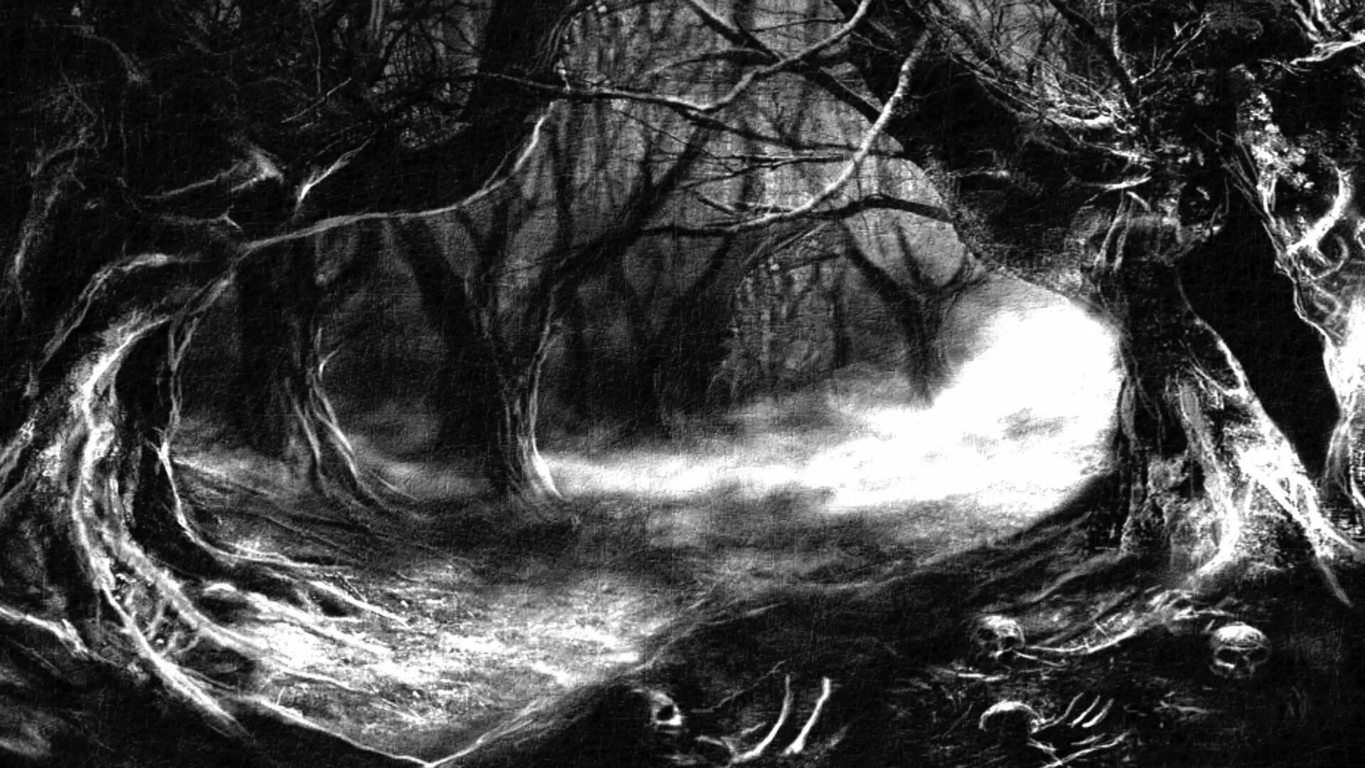 Темный разрыв. Atmospheric Black Metal лес. Мрачный пейзаж. Страшные пейзажи. Темные картины.