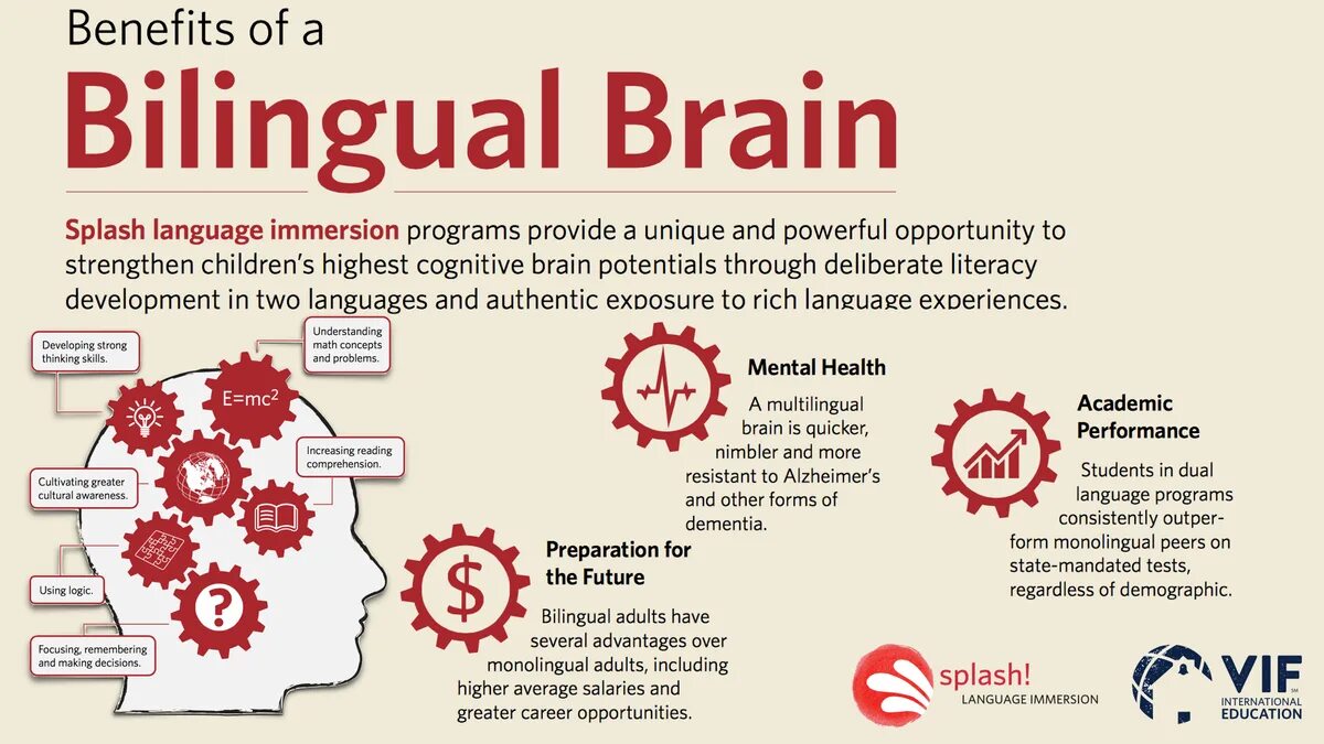 Bilingual language. Bilingual. мозг билингва. two-languages и bilingual. bilingualism benefits.