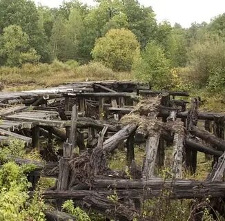 Курша 2