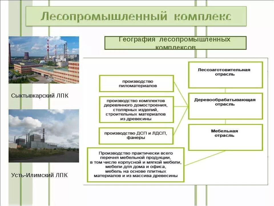 лесная промышленность схема. схема производства лесозаготовок. лесопромышленный комплекс класс. лесопромышленный комплекс класс. лесопромышленный комплекс.