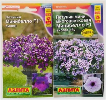 Петуния минибелло