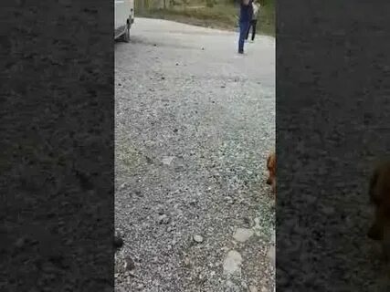 В новороссийске отключили