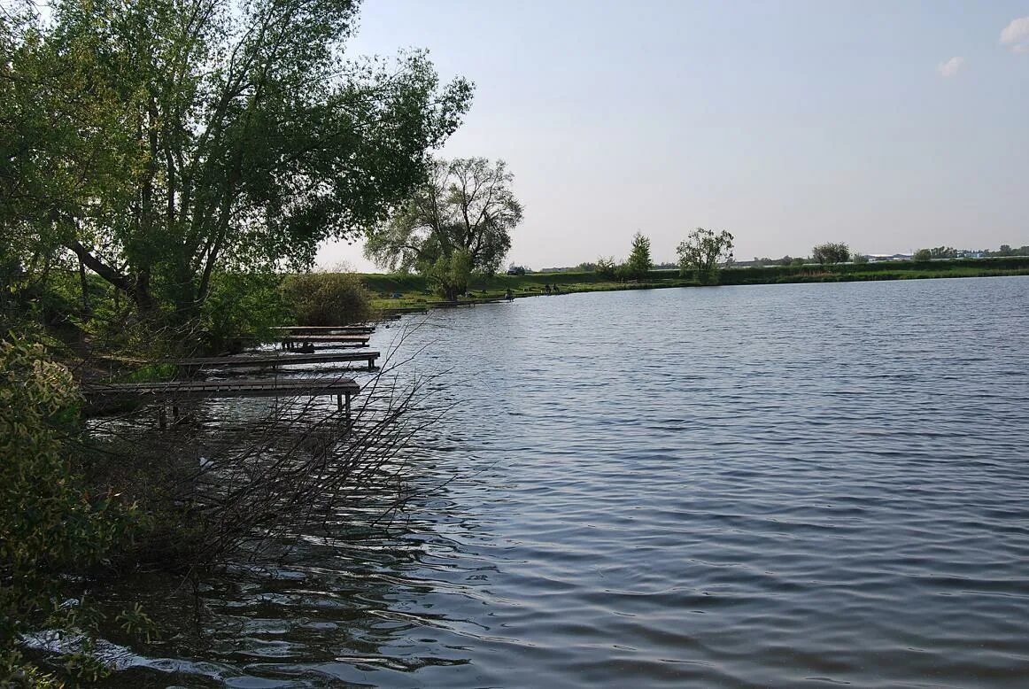 Москва река Дурниха. Лямцино село пруд. Пруд Дурниха Саров. Водоёмы в деревне Караиха Городецкий район.