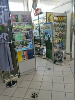 Зоомир волгоград