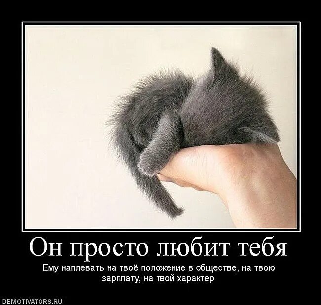 Не срок а жизненный урок