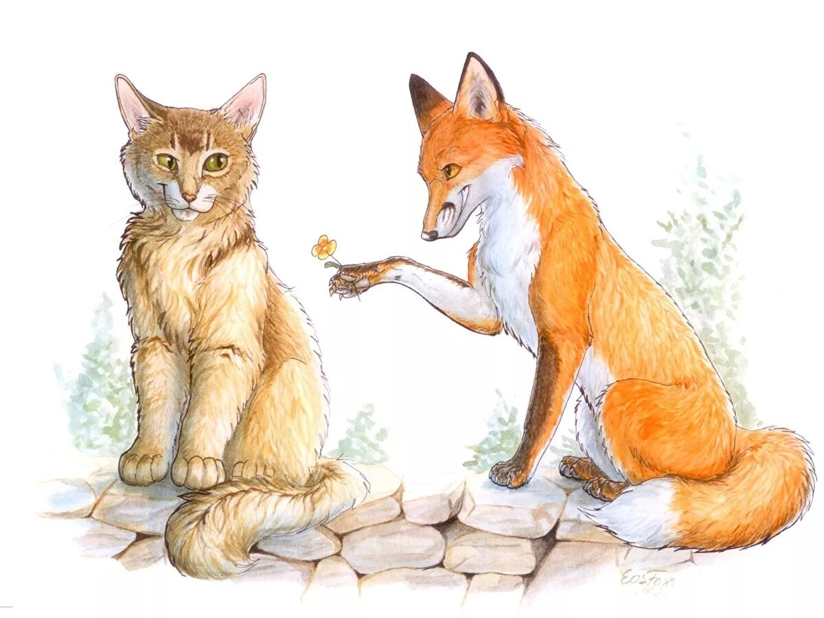 Кот и лиса. Девушка лис. Фотосессия с лисой. Лис и котенок. Лис и кот.