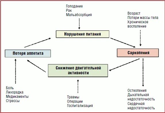 Саркопения у пожилых лечение отзывы. Саркопения. Саркопения симптомы. Механизм развития саркопении. Саркопения у пожилых саркопения у пожилых.