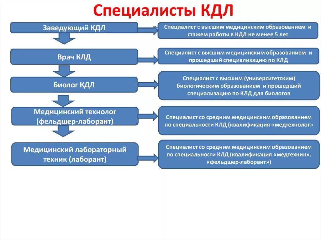 Работа врачом кдл. Организация работы клинико-диагностической лаборатории. Структура и функции клинико-диагностической лаборатории. КДЛ структура и функции. Основные задачи клинико-диагностической лаборатории.