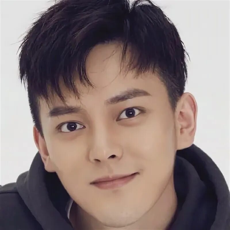 Wang zi feng fan