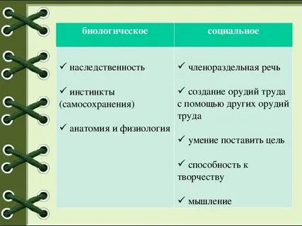 Человек личность самостоятельная работа
