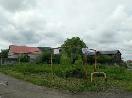 Редант 1
