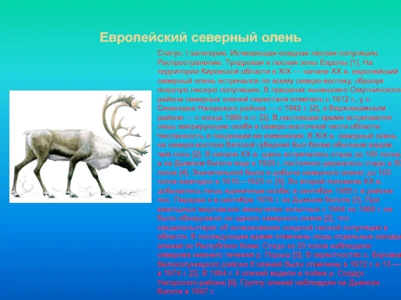 Северное животное из красной книги. Северный олень красная кгиг. Северное животное из красной книги. Олень северный лесной сибирский красная книга. Вымирающие животные тундры.