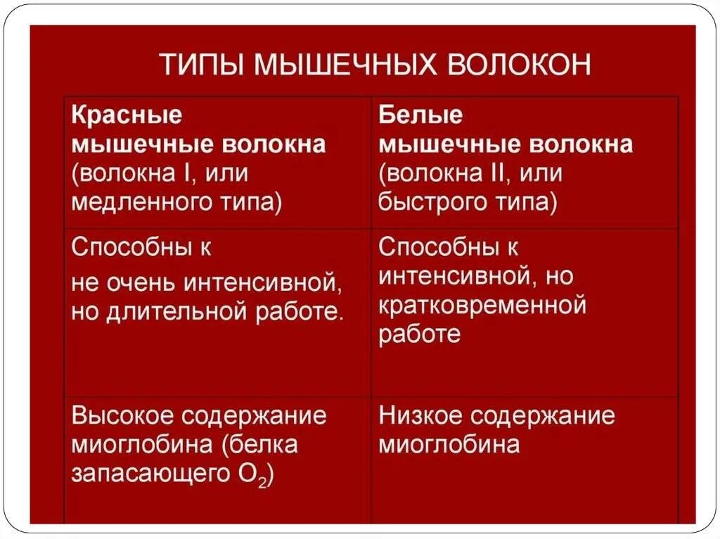 Красные мышечные волокна. Красные и белые волокна мышц. Красные и белые мышечные волокна разница. Мышцы красные и белые волокна мышц.