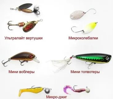 Какую приманку выбрать