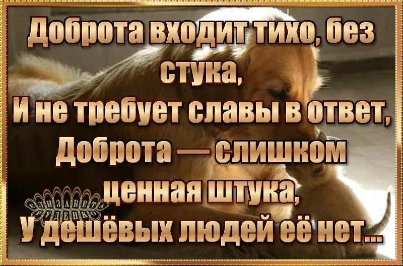 Будь добрее чем принято. Доброта очень ценная штука. Доброта не слабость доброта редкость цитаты. Доброта не слабость. Добро принимают за слабость.