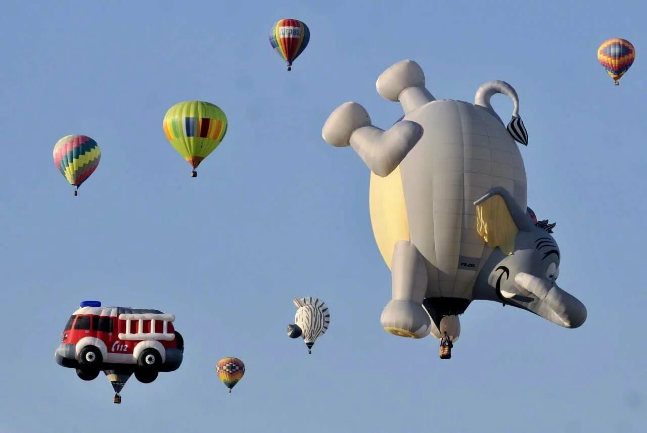 Сказка воздушных шаров. Международный фестиваль воздушных шаров в Альбукерке. Воздушные шары летательные. Воздушный шар необычной формы. Слон воздушный шар.