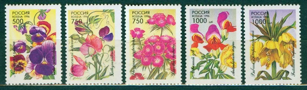 Марки 1996 года россия. Марки цветы. Красивые марки. Почтовые марки с цветами. Почтовые марки с цветами Россия.