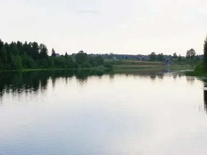 Погода пашозеро
