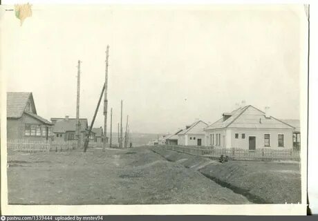 Губкин старый