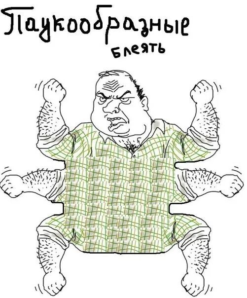 будь мужиком блеять. будь мужиком блеять мемы. мужик блеять. будь мужиком б. мужик блеать.