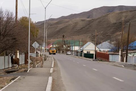 Алматинская обл