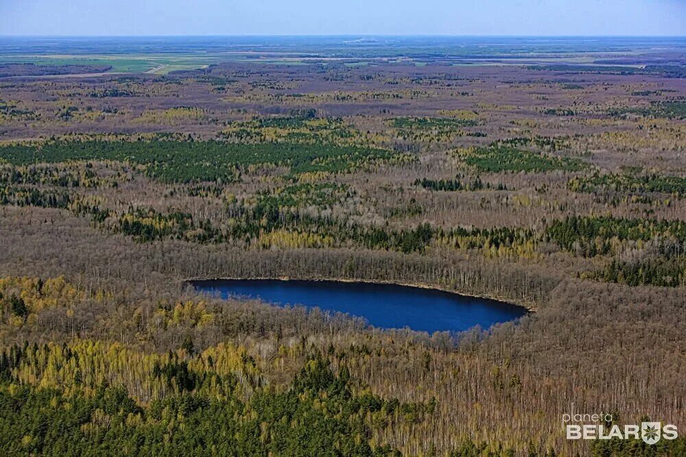 Падсады. Биологический заказник «бабинец». Биологический заказник. Заказник ударение. Биологический заказник.
