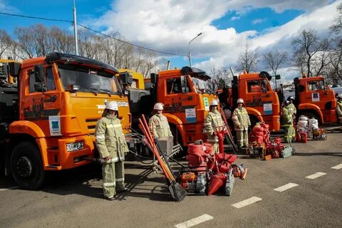 Техник направленных