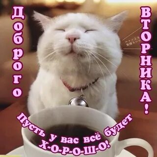 Утро таков