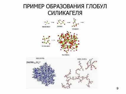 Гидрофобные радикалы повернуты внутрь глобулы