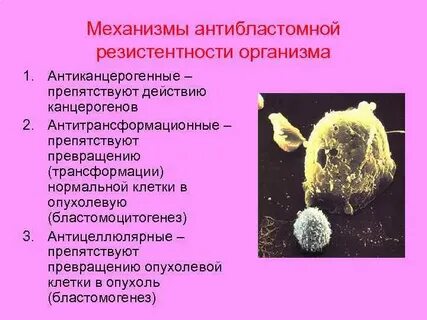 Резистентность организма