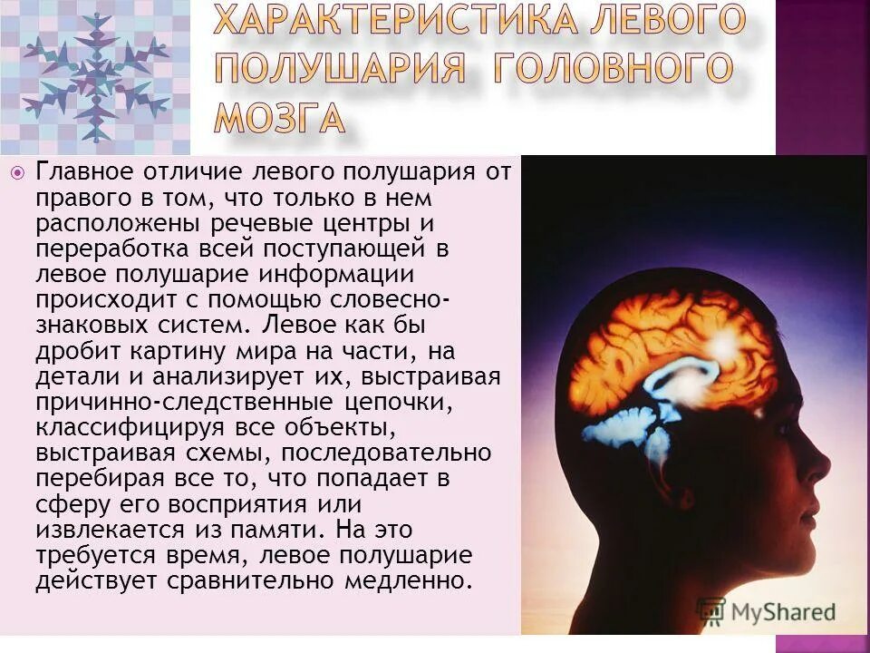 Особенности левого полушария мозга. Роль левого и правого полушарий. Головной мозг левое и правое полушарие. Функции левого и правого полушария головного мозга. Типы функциональной асимметрии полушарий головного мозга.