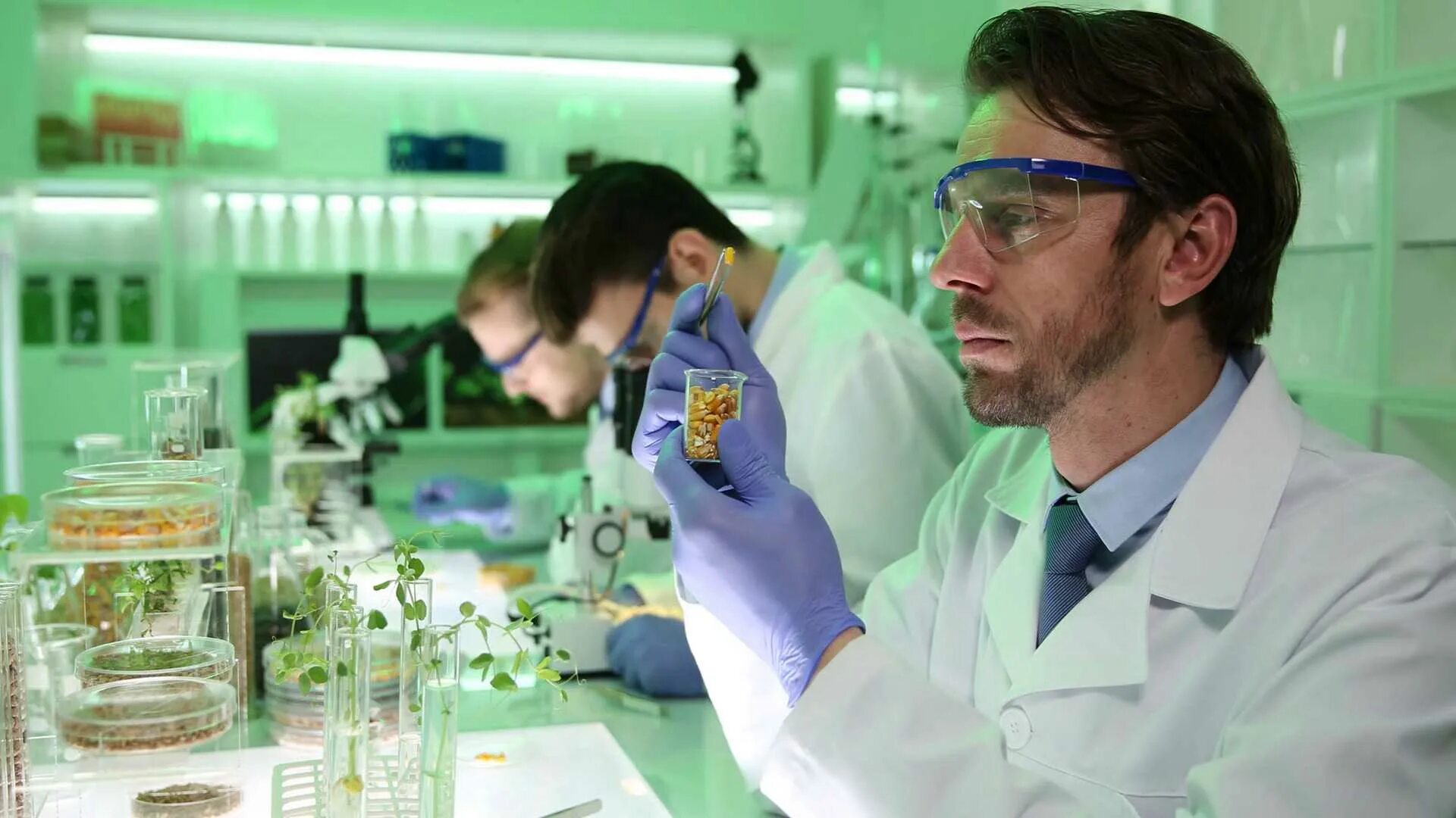 Инженер биомедик. Biological engineering. Логотип hualan biological engineering. Лаборатория mit. Biological engineering.