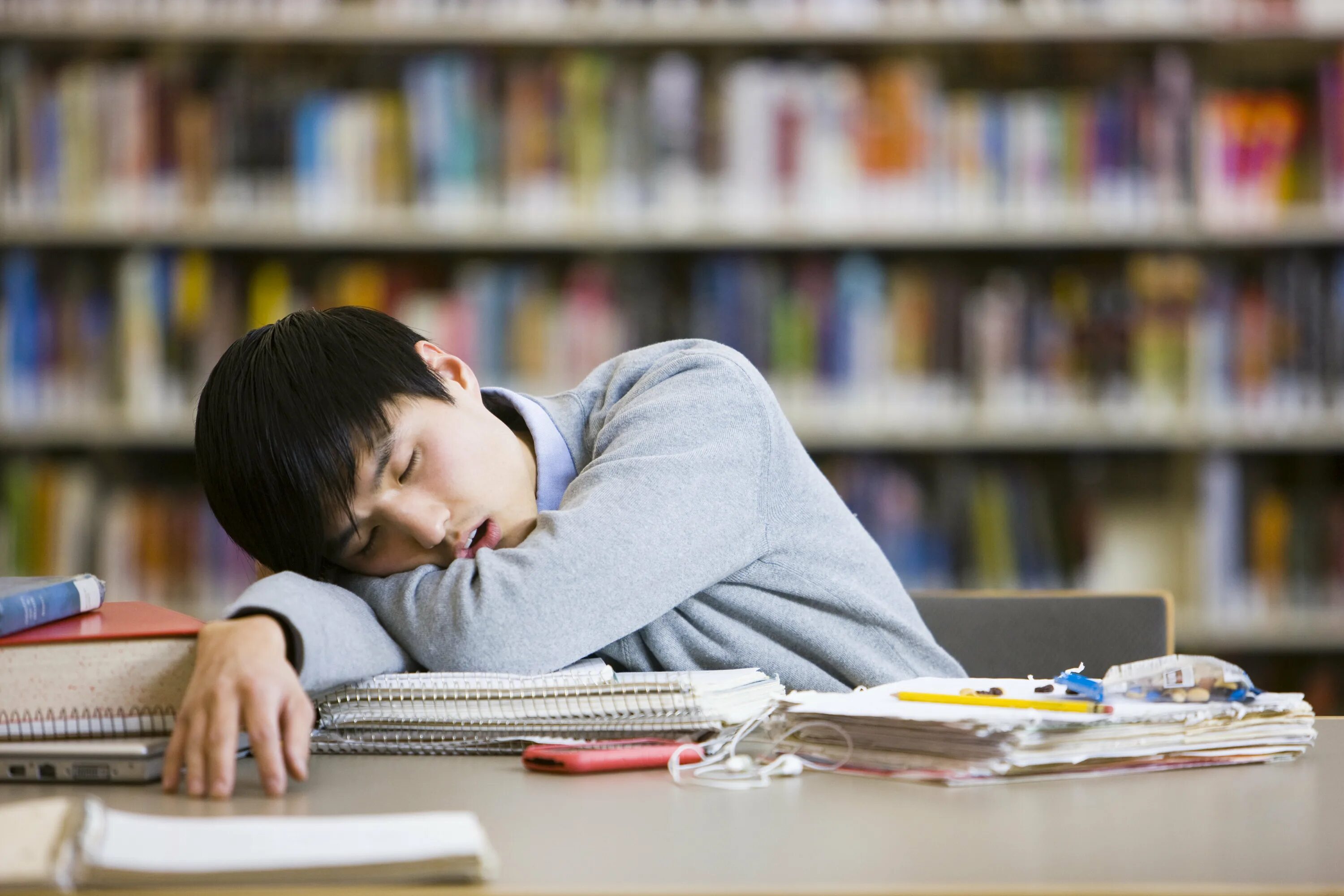 Portfolio make a student library