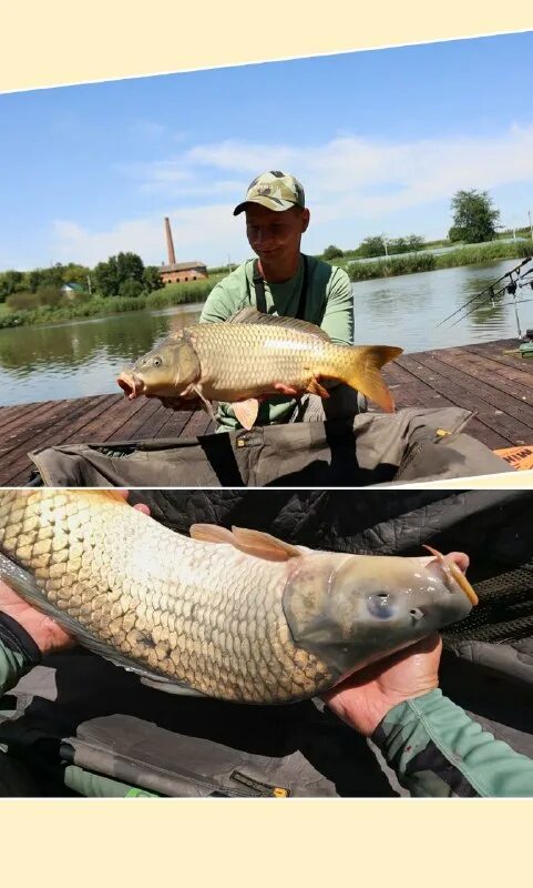 видео рыбалка в диком водоеме. юг фишинг.