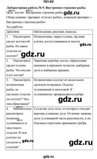 Лабораторная работа 7 по биологии 6 класс
