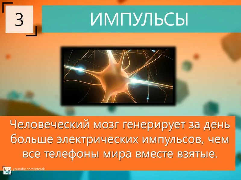 Краткие факты о человеке. Интересные факты о Челве. Интересные факты отчеловеке. Интересные факты о Челубее. Интересные факты о человеке.