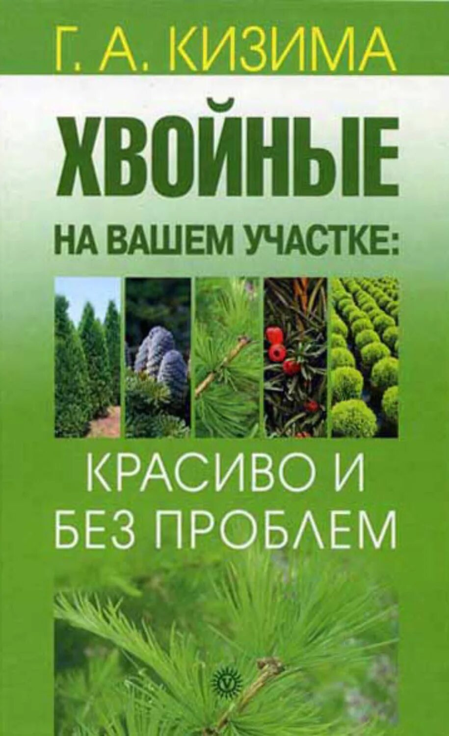 Книги хвойных. Книга хвойные. Книги про хвойные растения. Хвойные растения книга, л. с. Плотникова. Укоренения хвойных книга.