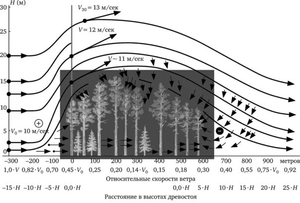 Влияние ветра на лес. Скорость ветра на разных высотах. Ветровой режим леса. Скорость ветра в слоях атмосферы. Скорость ветров на земле