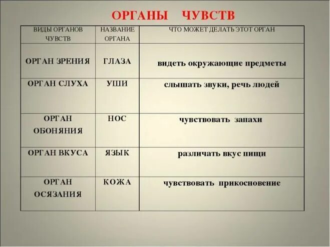 Каково значение органов чувств. Органы чувств и их функции. Органы чувств человека таблица. Функции органов чувств человека. Органы чувств строение и функции.