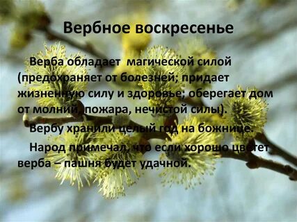 История вербного воскресенья для детей