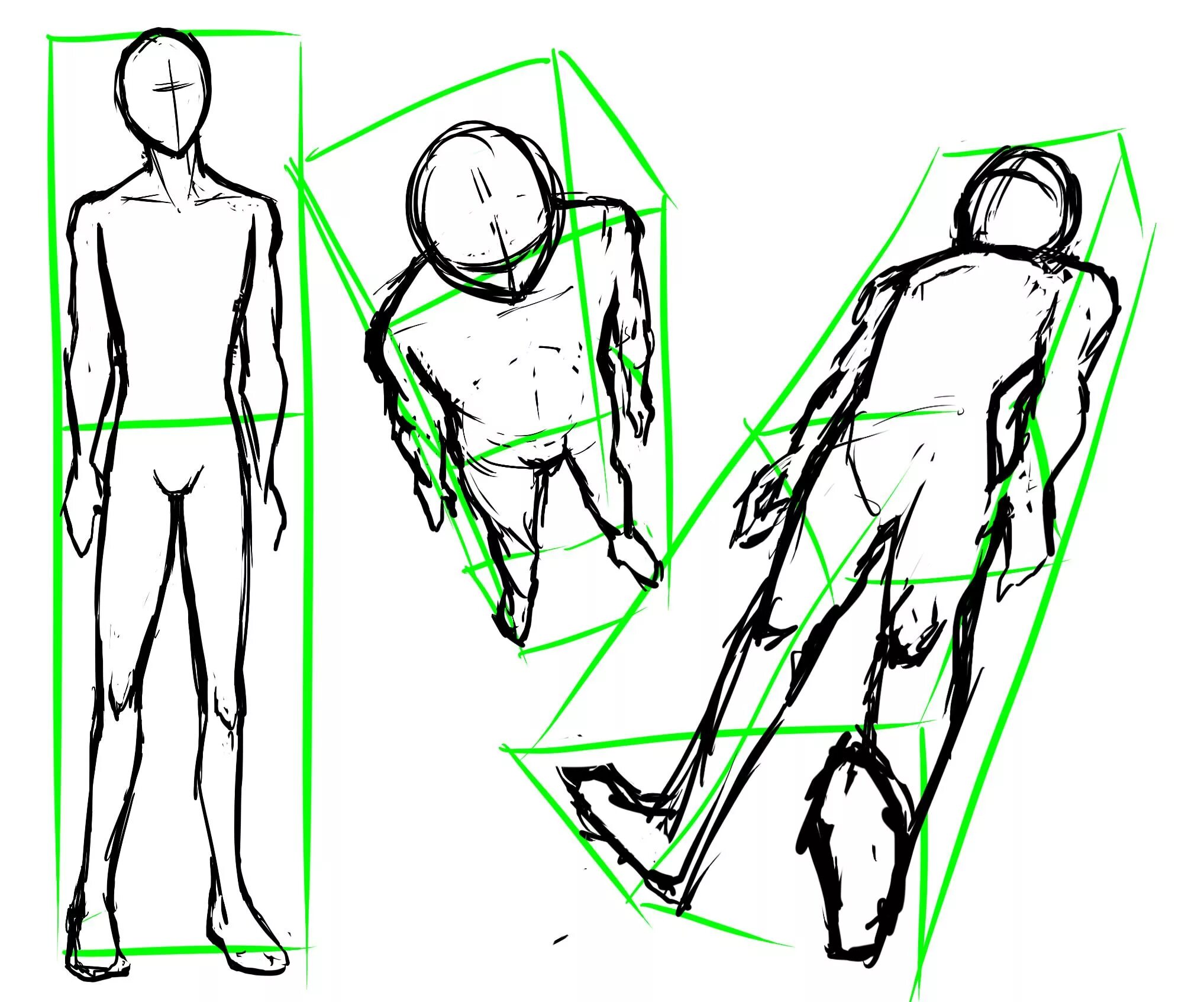 Рисунки сверху вниз. Перспектива тела сверху референс. Референс человека перспектива сверху. Референс перспектива человека снизу. Перспектива человека снизу вверх референс.